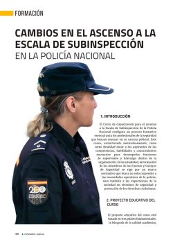 subinspección